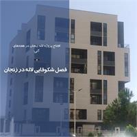 فصل شکوفایی لاله در زنجان